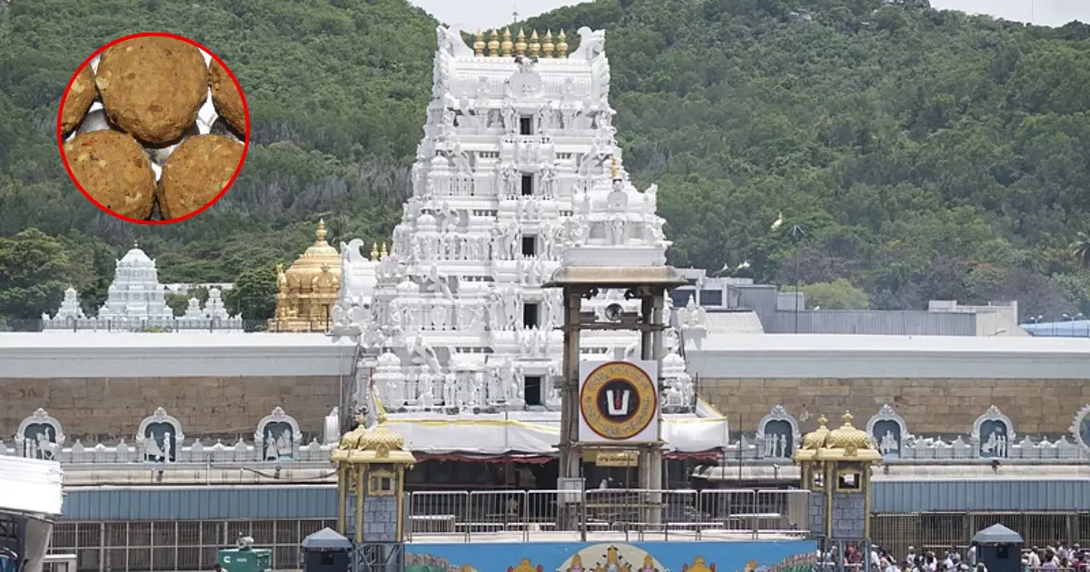 TDP Claims Tirupati Laddus Contained Animal Fat and Fish Oil